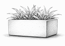 2004